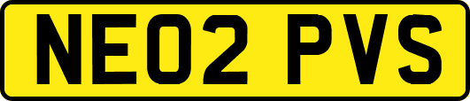 NE02PVS