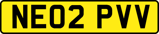 NE02PVV