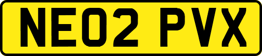 NE02PVX