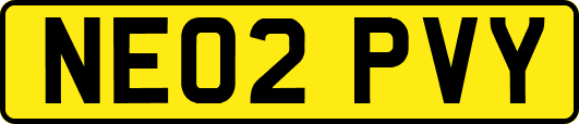 NE02PVY