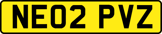 NE02PVZ