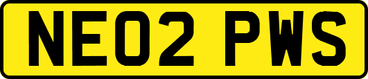 NE02PWS