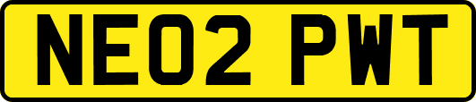 NE02PWT