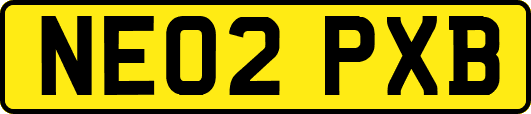 NE02PXB