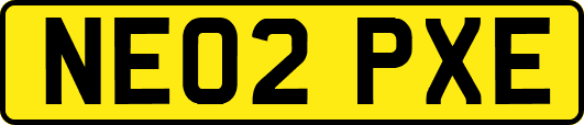 NE02PXE