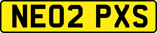 NE02PXS