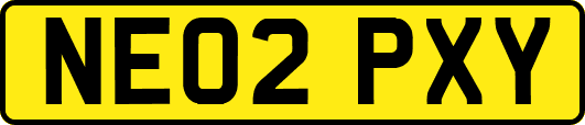 NE02PXY
