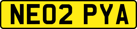 NE02PYA