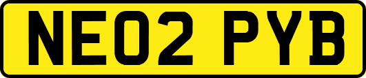 NE02PYB