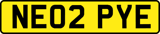 NE02PYE