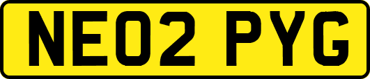 NE02PYG