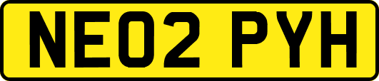 NE02PYH