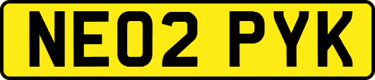 NE02PYK