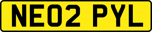 NE02PYL