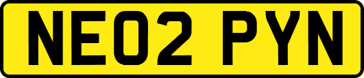 NE02PYN