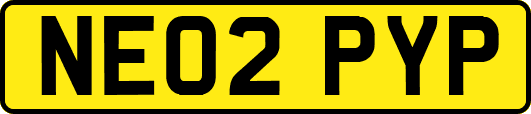 NE02PYP