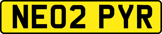 NE02PYR