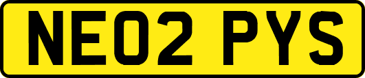 NE02PYS