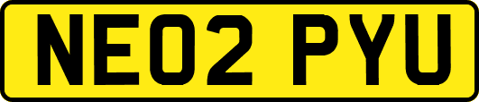 NE02PYU