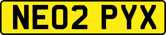 NE02PYX