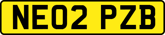 NE02PZB