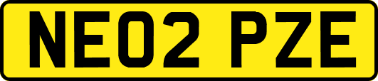 NE02PZE