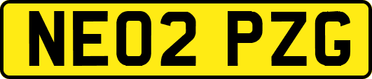 NE02PZG