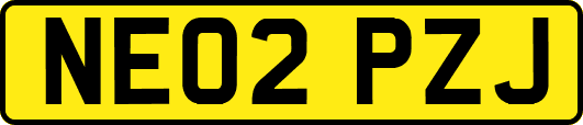 NE02PZJ