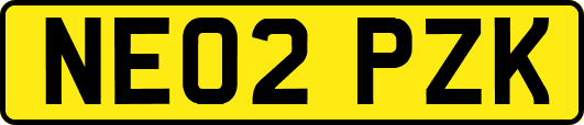 NE02PZK
