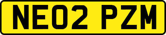 NE02PZM