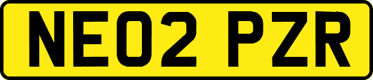 NE02PZR