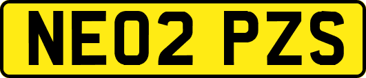 NE02PZS