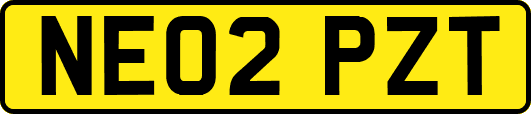 NE02PZT