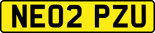 NE02PZU