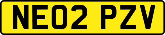NE02PZV
