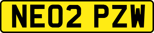 NE02PZW