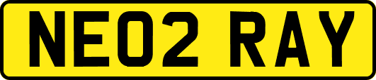 NE02RAY