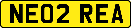 NE02REA
