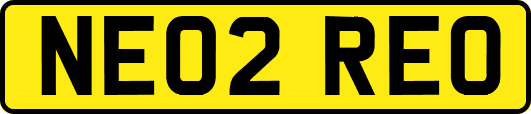 NE02REO
