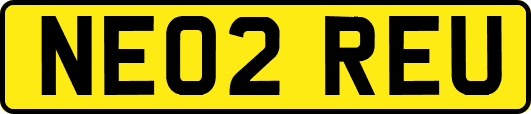 NE02REU