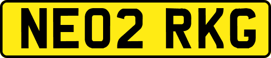 NE02RKG