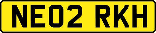 NE02RKH