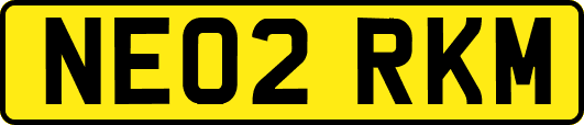NE02RKM