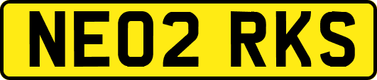 NE02RKS