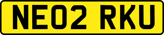 NE02RKU