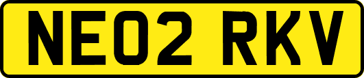 NE02RKV