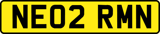 NE02RMN