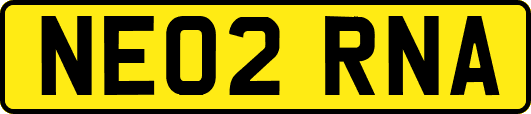 NE02RNA