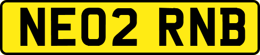 NE02RNB