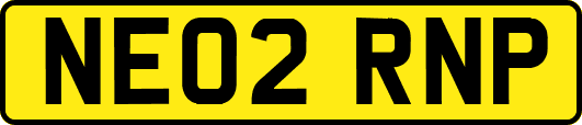 NE02RNP
